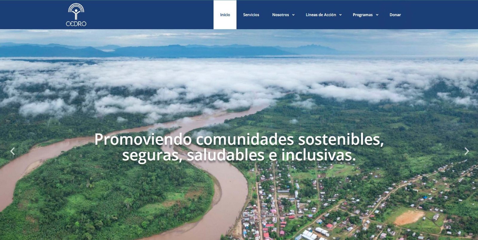 Interfaz del sitio web institucional de CEDRO desarrollado con WordPres