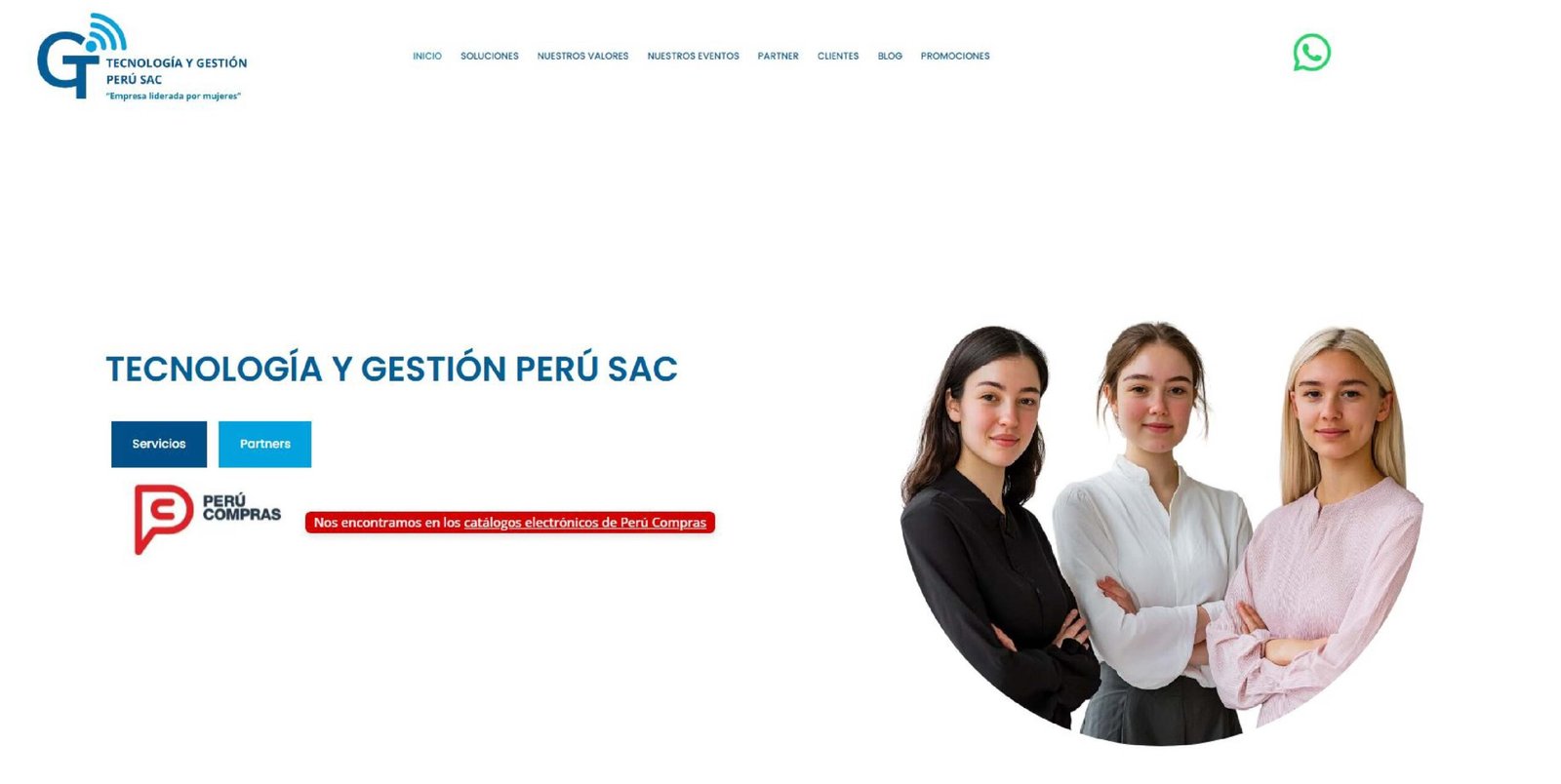 diseno-web-wordpress-empresa-ti
